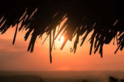 Silhouette palm tree against sea during sunset