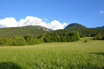 Scenic view of landscape against sky