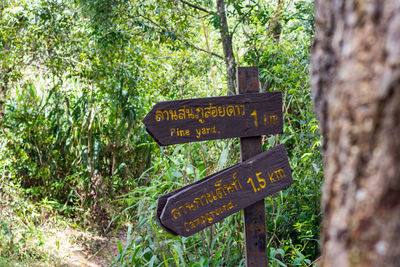 Information sign on tree in forest