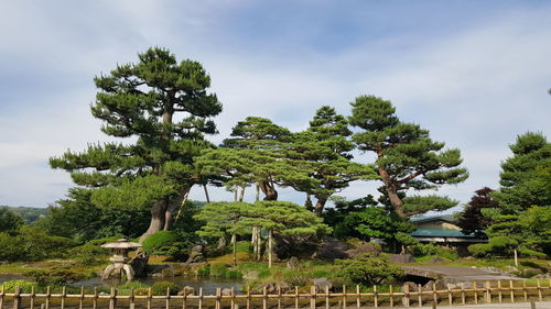 Trees by plants against sky