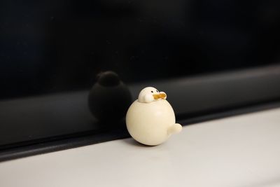 Close-up of flower on table
