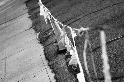 Close-up of hanging rope