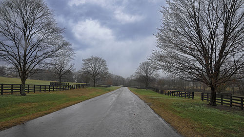 Trees on field against sky