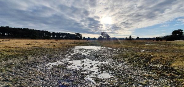 Scenic view of field against sky