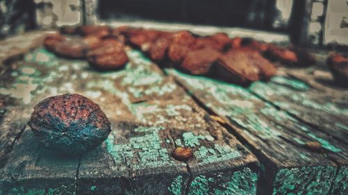 Close-up of food on table