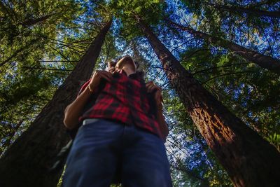 Low angle view of man standing amidst trees at forest