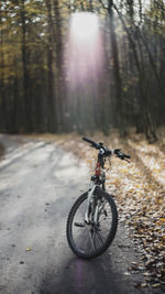 Bicycle on footpath in forest