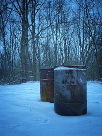 View of bare trees on snow covered field