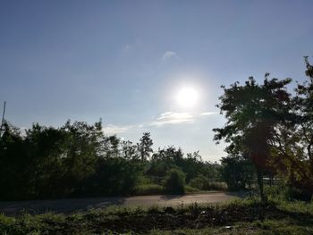 Scenic view of trees against sky