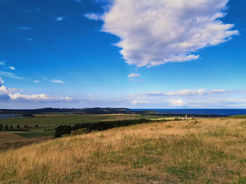 Scenic view of field against sky