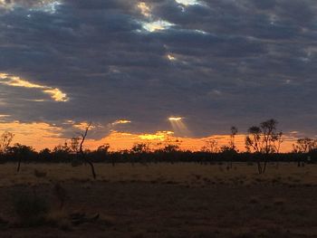 Scenic view of landscape at sunset