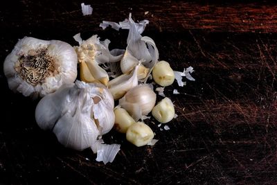 High angle view of white flowers on table