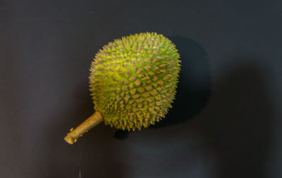 King of fruits, durian on the isolated black background.