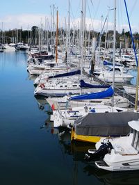 Sailboats moored in harbor