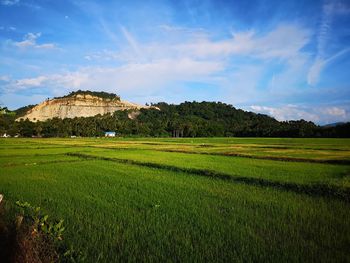 Scenic view of farm against sky