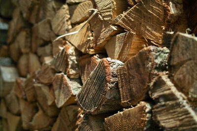 Full frame shot of logs in forest