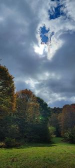 cloud
