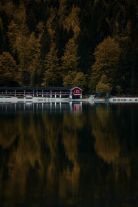 Scenic view of lake in forest at night