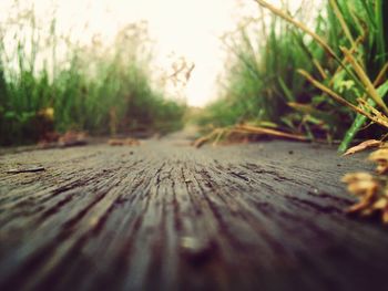 Surface level of dirt road