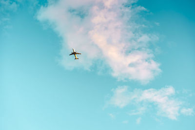 Low angle view of airplane flying in sky