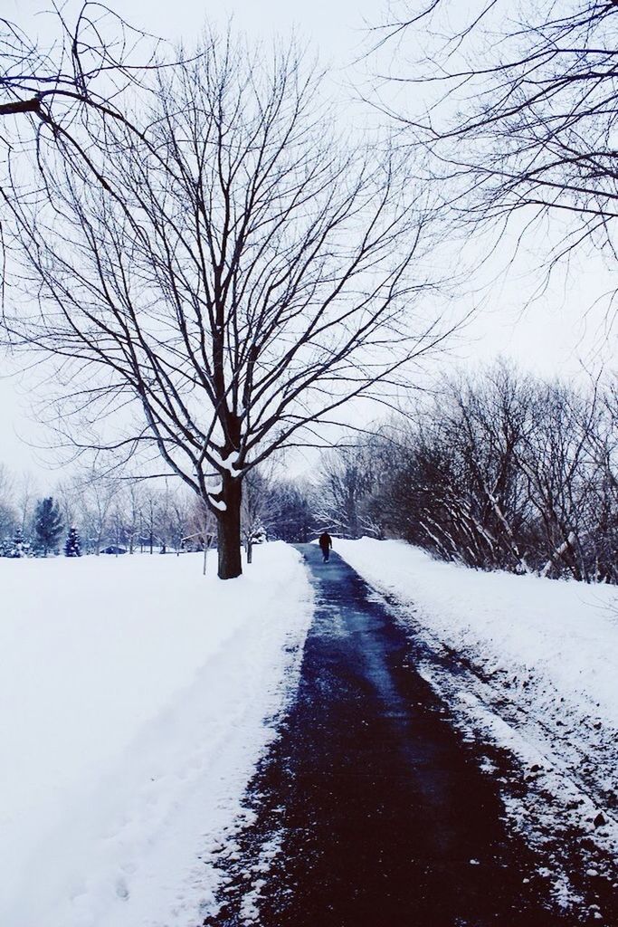 snow, winter, cold temperature, season, bare tree, weather, covering, tree, the way forward, tranquility, tranquil scene, nature, landscape, frozen, diminishing perspective, snow covered, covered, beauty in nature, white color, road