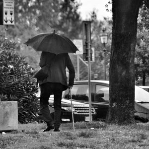 Rear view of man walking on footpath against trees