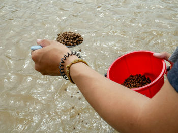 High angle view of woman holding ice cream in water