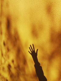 Shadow of person on hand