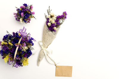 Close-up of flowering plant against white background