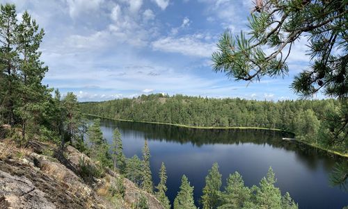 Scenic view of lake by trees against sky