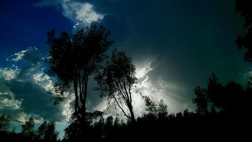 Silhouette of trees against cloudy sky
