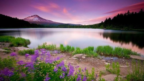 Scenic view of lake at night