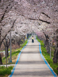 Rear view of man walking on footpath