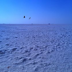 Scenic view of sea against blue sky