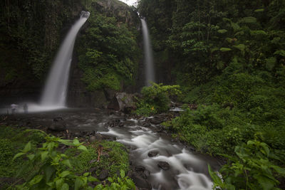 Scenic view of waterfall in forest