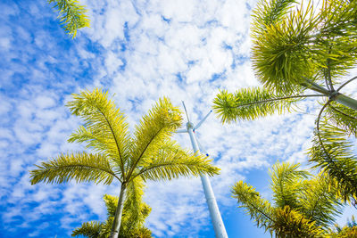 Low angle view of tree against sky