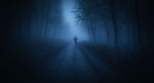 Man walking on road in forest