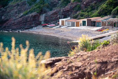 Plants by sea and small cove against mountain