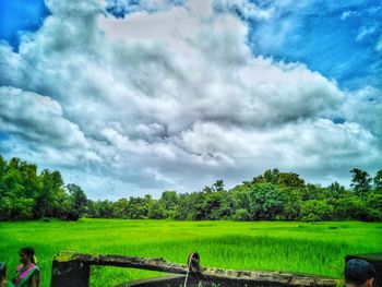 Scenic view of agricultural field against sky