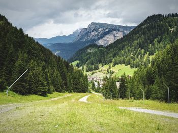 Scenic view of pine trees and mountains against sky