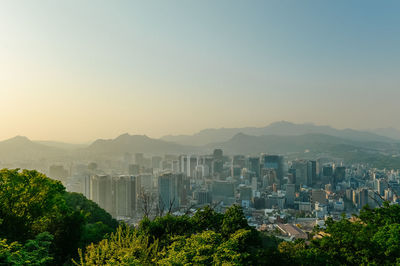 Trees and buildings in city against clear sky