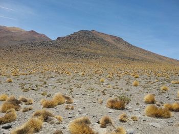 Scenic view of desert against sky