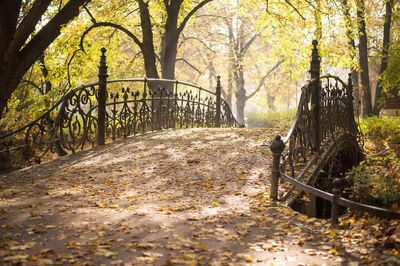 Trees growing in park during autumn