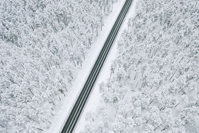 High angle view of road amidst snow covered trees