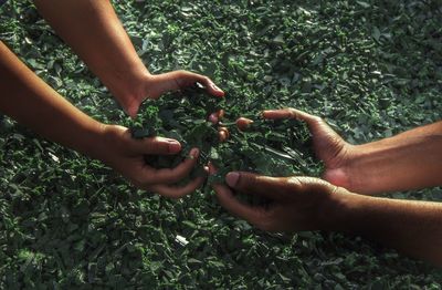 Cropped hands holding green mineral rocks