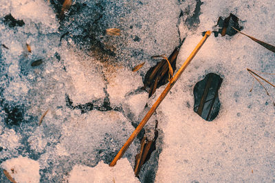 Full frame shot of frozen lake