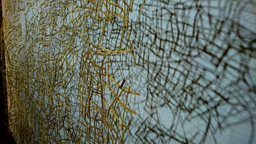 Low angle view of bare tree against sky during winter