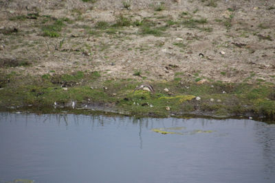 Scenic view of lake