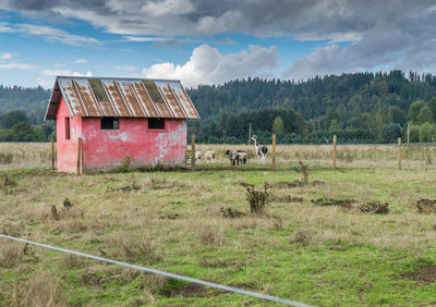 A view of a red shed and animals on a farm.