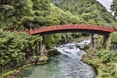 Arch bridge over river in forest